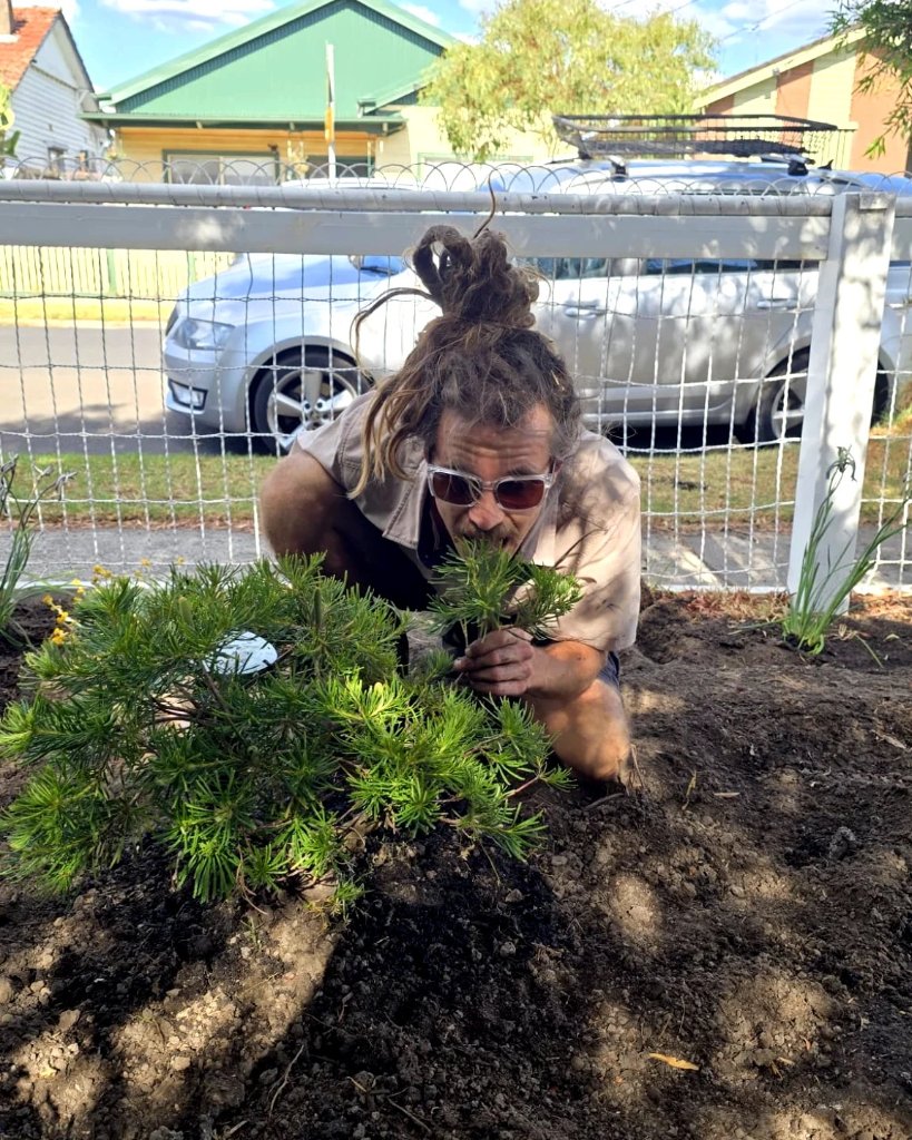Cameron, Landscape Specialist at Saxon's Lawn, Garden and Landscape Co.