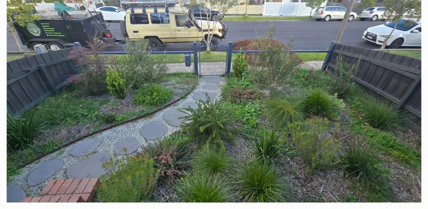 Layered native garden with paver access path
