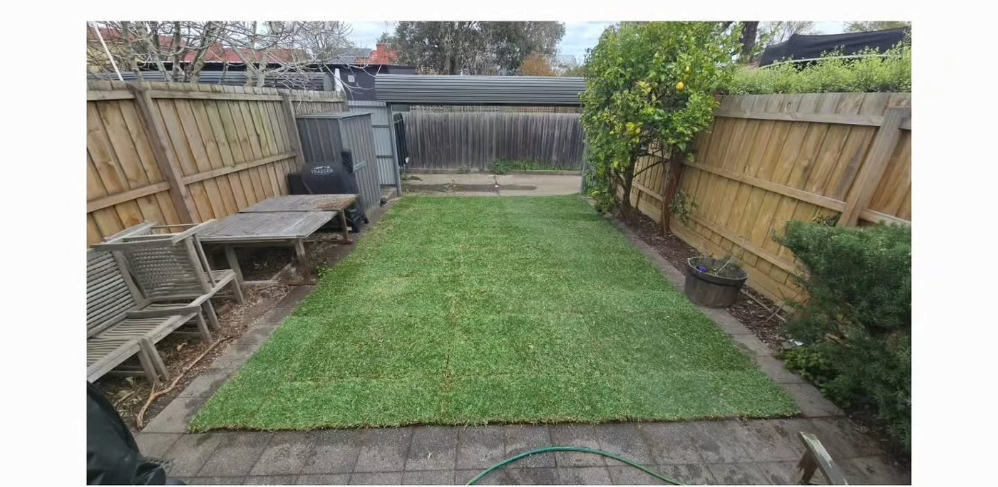Established green backyard lawn