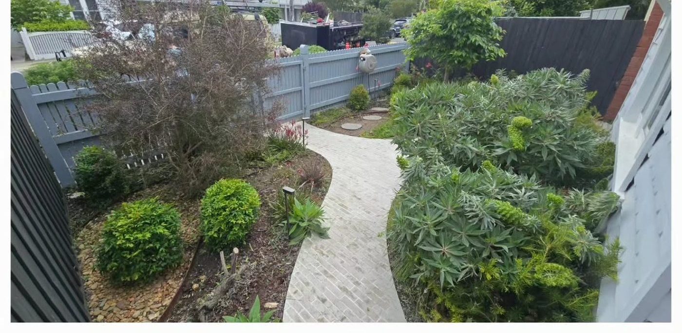 Neatly trimmed hedges and shaped shrubs in an inner-north Melbourne front garden