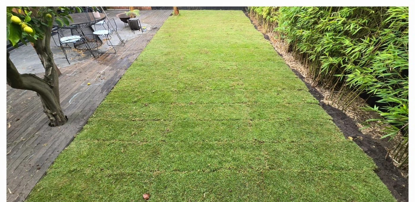Fresh green turf laid to a black feature fence