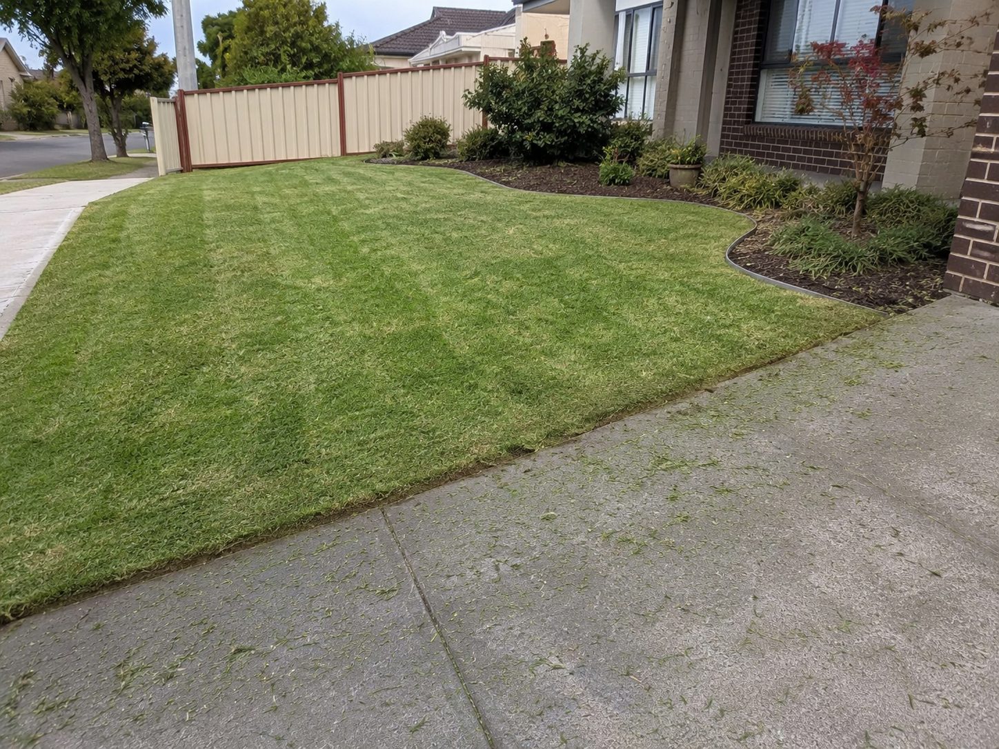 Freshly mown and striped front lawn in Melbourne's inner north