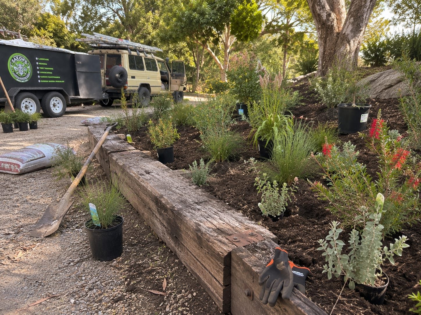 Fresh mulching and native planting during a garden maintenance visit